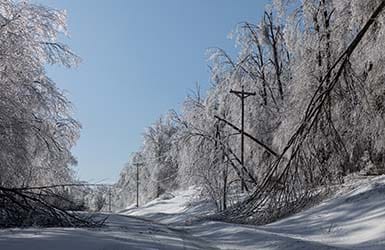 Ice Storm in Northern Michigan